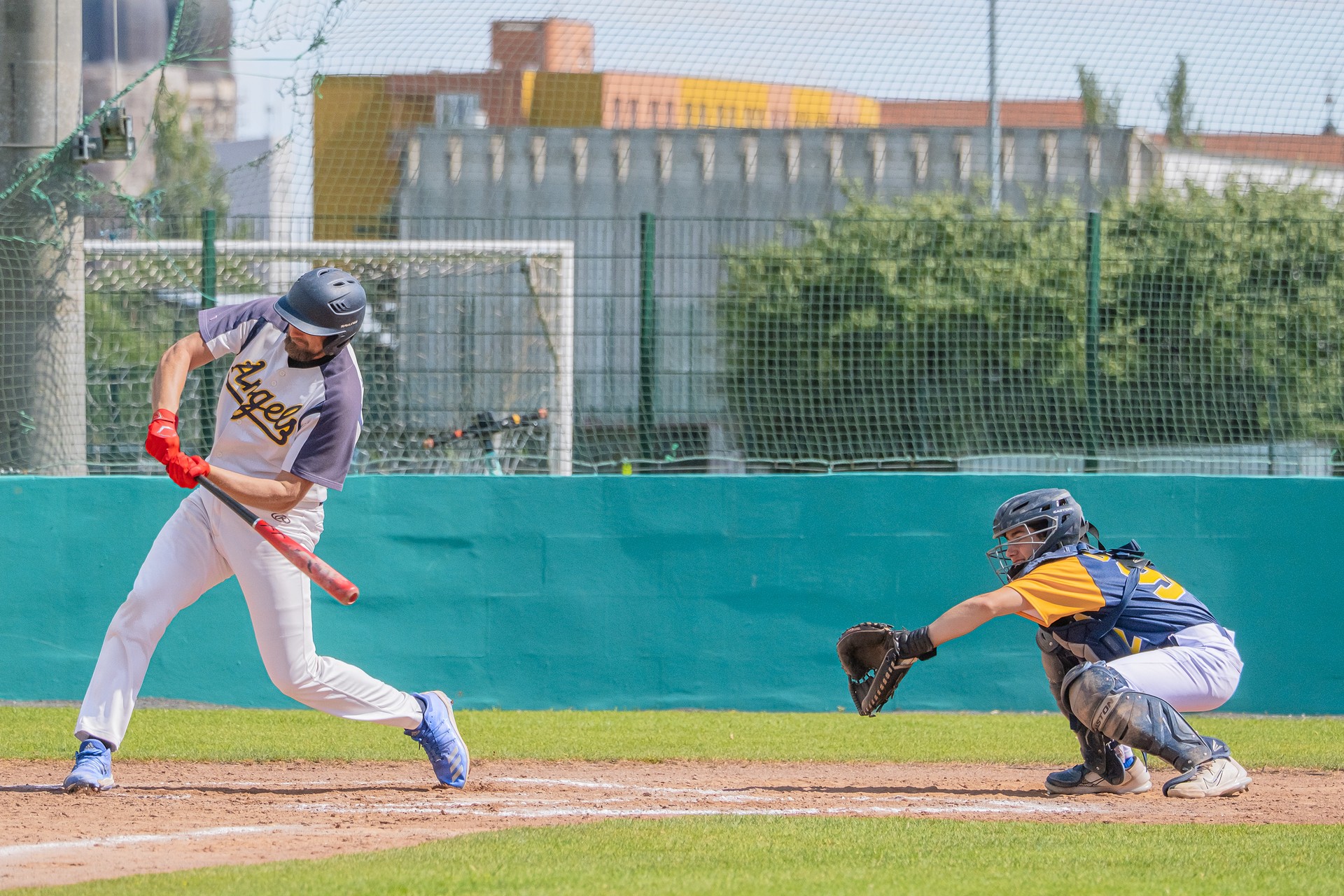 Slovenská baseballová federácia