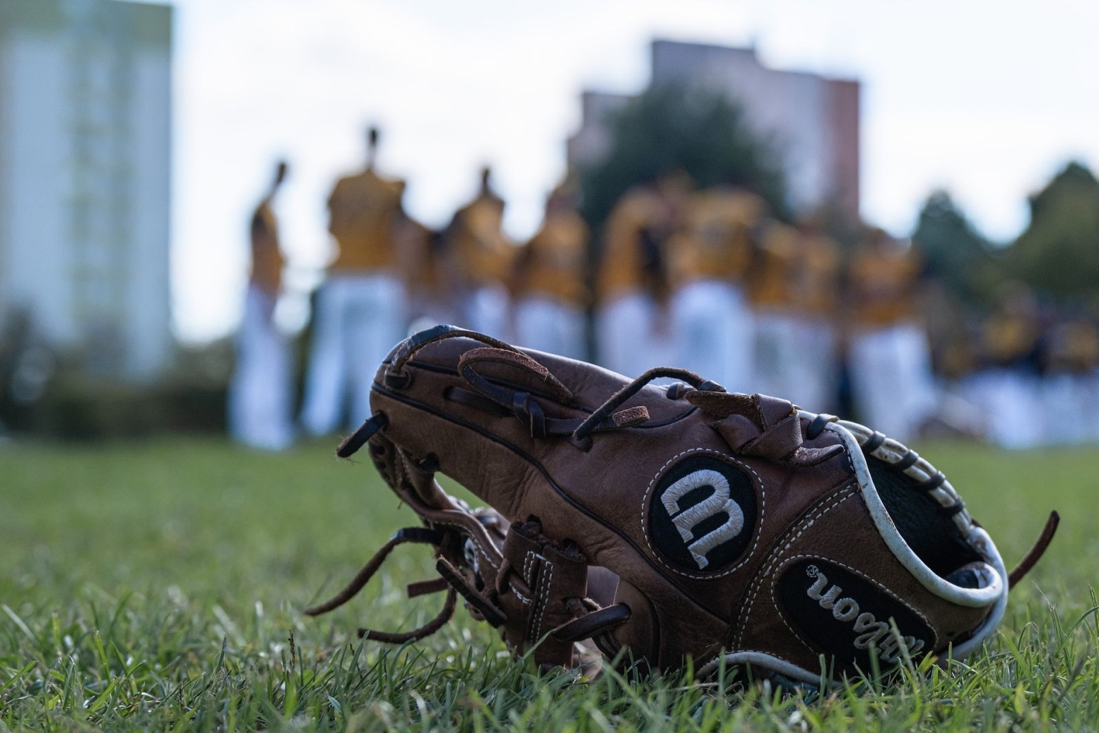 Baseball na základných školách: projekt pre deti od 6 do 8 rokov